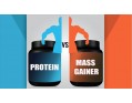 Протеин или гейнер?