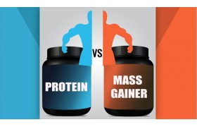 Протеин или гейнер?