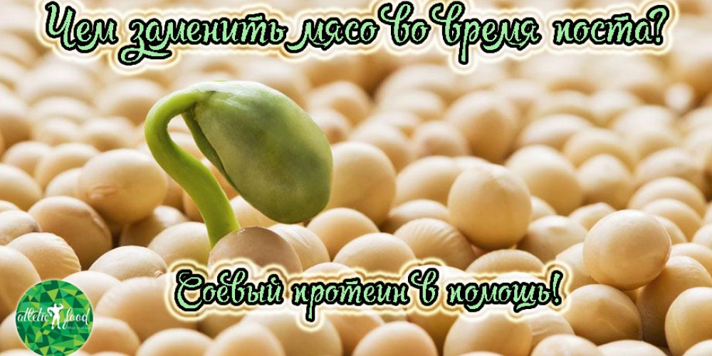 Чем заменить мясо во время Поста? Протеин в помощь!