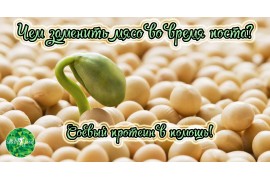 Чем заменить мясо во время Поста? Протеин в помощь!