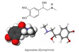 Адреналин