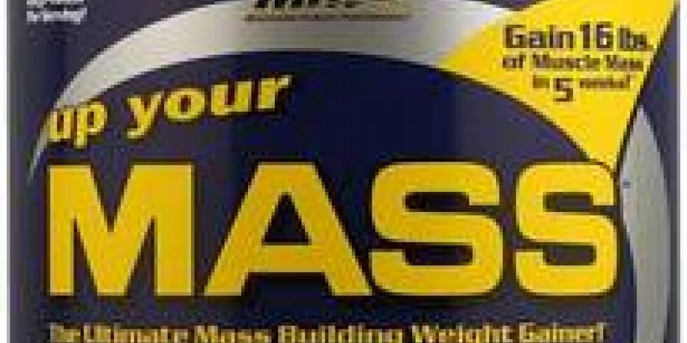 Гейнер Up Your Mass