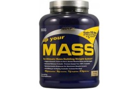 Гейнер Up Your Mass