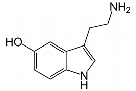 Серотонин