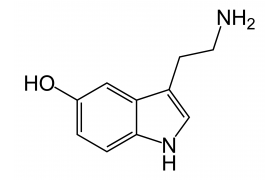 Серотонин