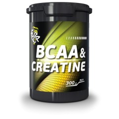 PureProtein Fuze BCAA +Creatine - 300 грамм