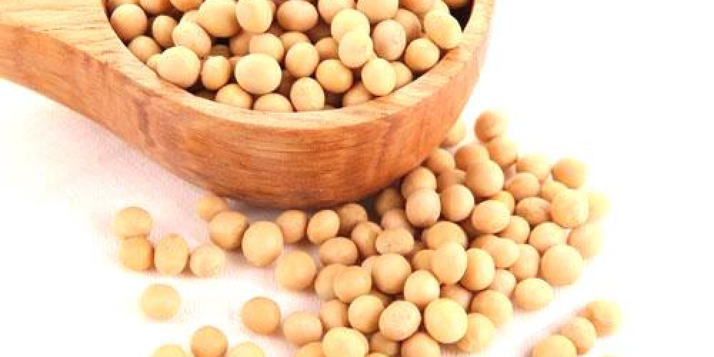 Преимущества соевого протеина.