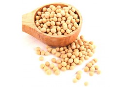 Преимущества соевого протеина.