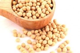 Преимущества соевого протеина.