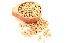 Преимущества соевого протеина.