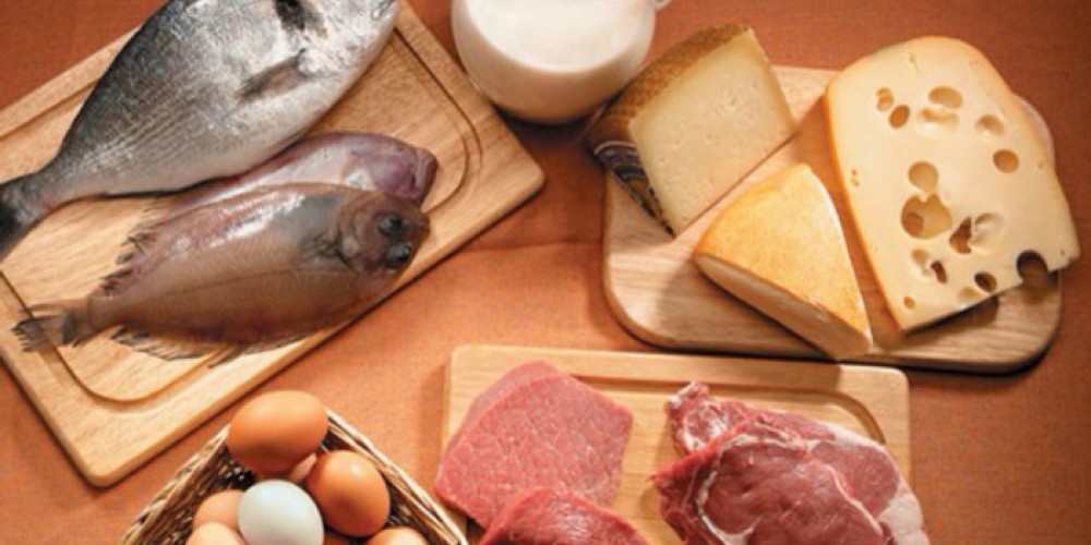 Белковая диета для похудения