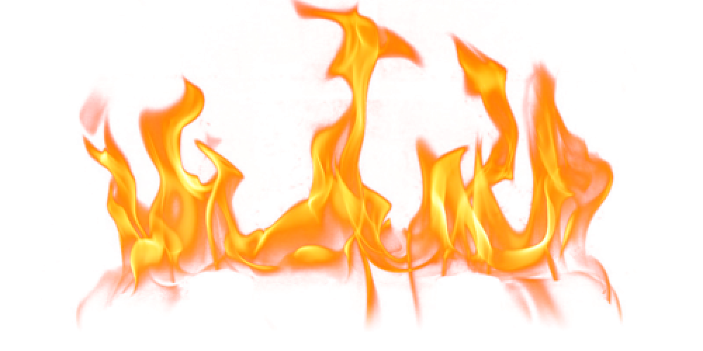 Lipo 6X по спец. цене и CULT в магазинах Atletic-food.