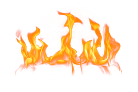 Lipo 6X по спец. цене и CULT в магазинах Atletic-food.