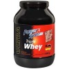 Power System Triple Whey - 1000 Грамм (фото-0)