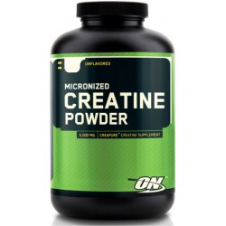 Optimum Nutrition Creatine Powder - 600 грамм