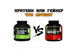 Протеин или гейнер?