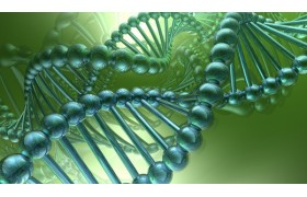 Что такое коэнзим Q10