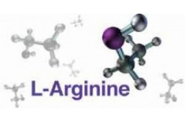 Аргинин. Роль аргинина. Научная статья. Исследование