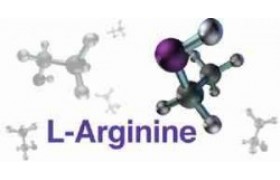 Аргинин. Роль аргинина. Научная статья. Исследование