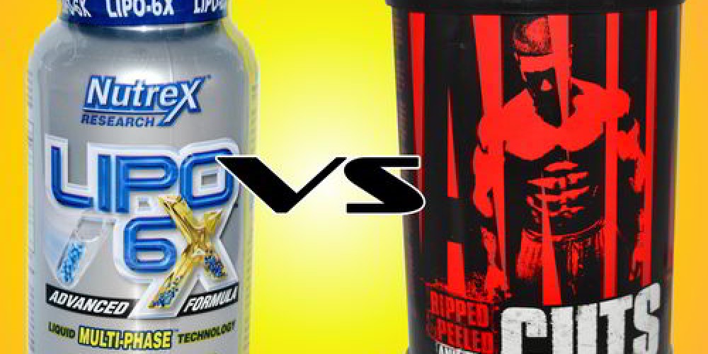 Как сделать правильный выбор жиросжигателя?