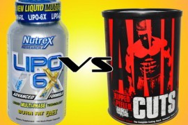 Как сделать правильный выбор жиросжигателя?