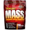 Mutant Mass - 260 Грамм (фото-0)