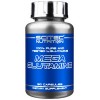 Scitec Nutrition Mega Glutamine - 90 капсул (фото-0)