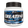 Trec Nutrition Creatine 100% - 300 Грамм (фото-0)