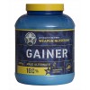 Gainer Mass Alternate 2000г (фото-0)
