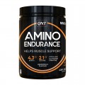 QNT Amino Endurance - 350 грамм